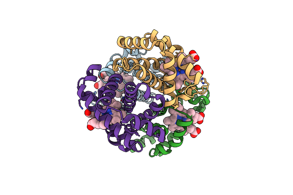 2QLS image