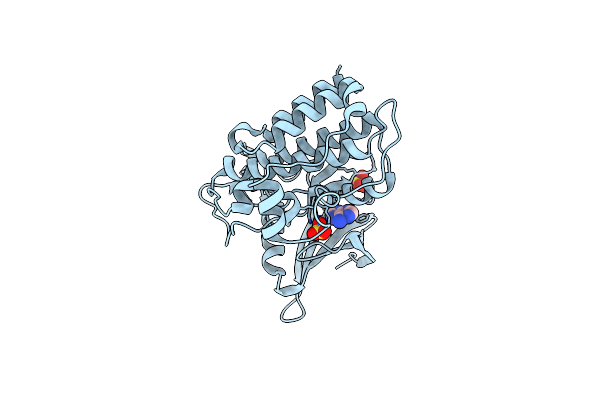 2QLU image