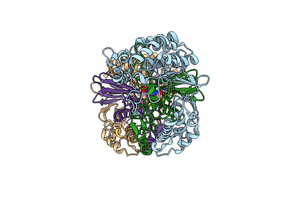 2QMC image