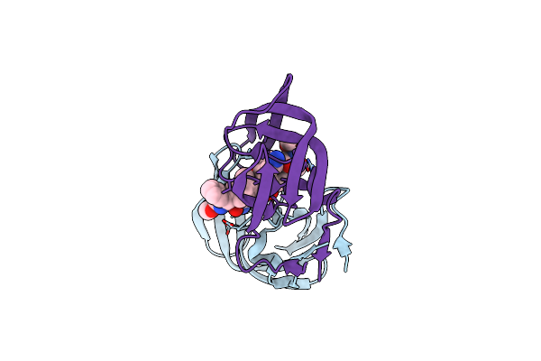 2QMP image
