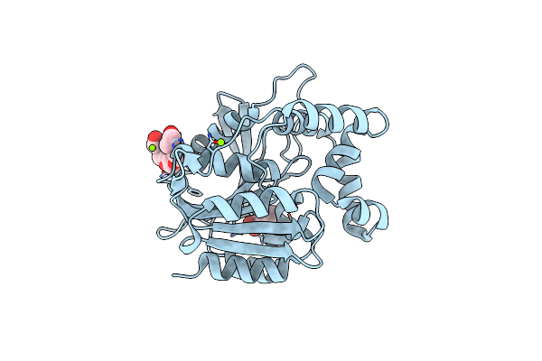 2QMQ image