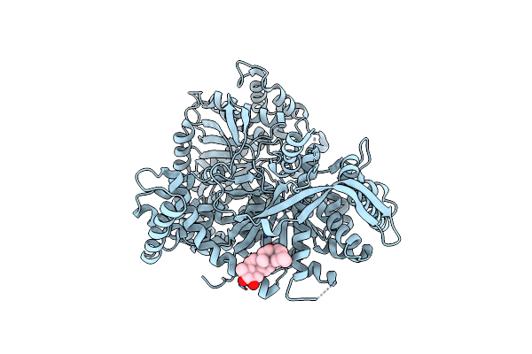 2QN2 image