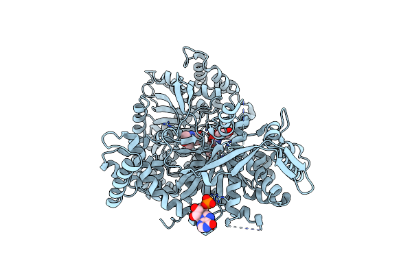 2QN7 image