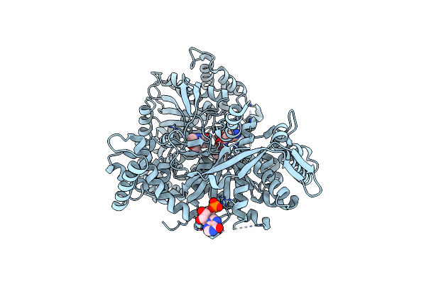 2QN9 image