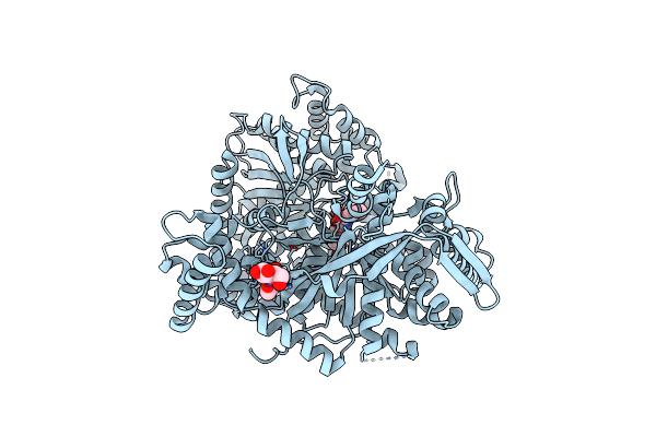 2QNB image