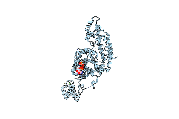 2QPT image