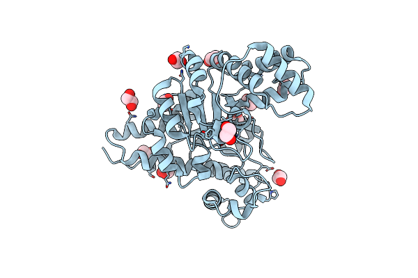 2QPX image