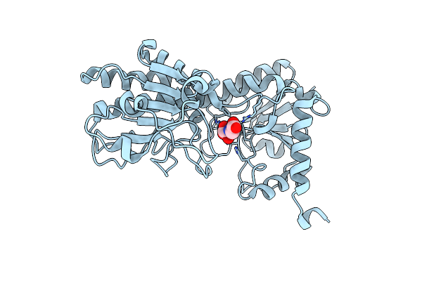 2QRL image