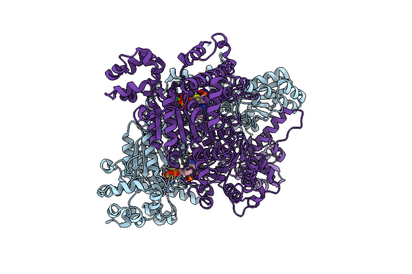 2QTC image