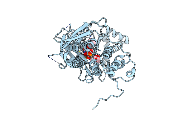 2QTL image