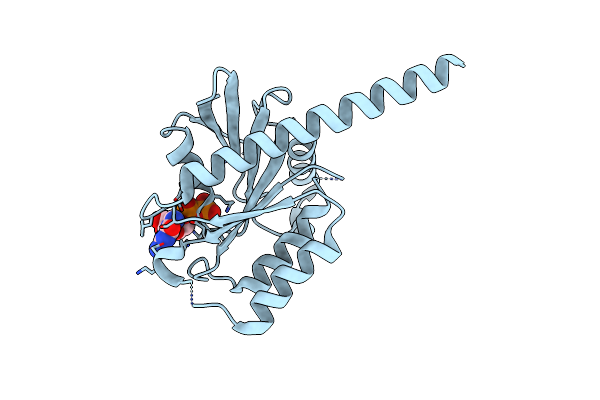 2QU8 image