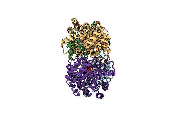 2QUN image