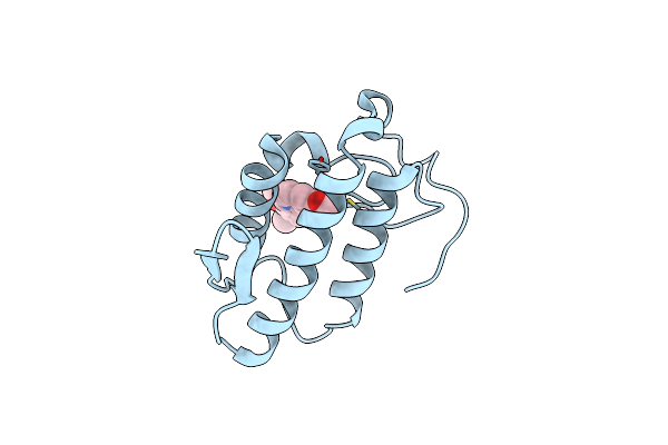 2QVD image