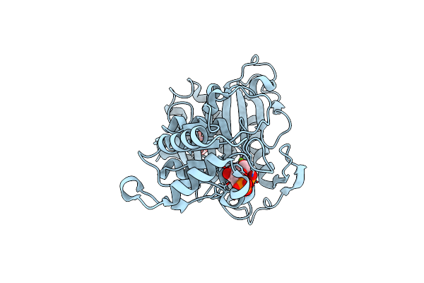 2QVR image