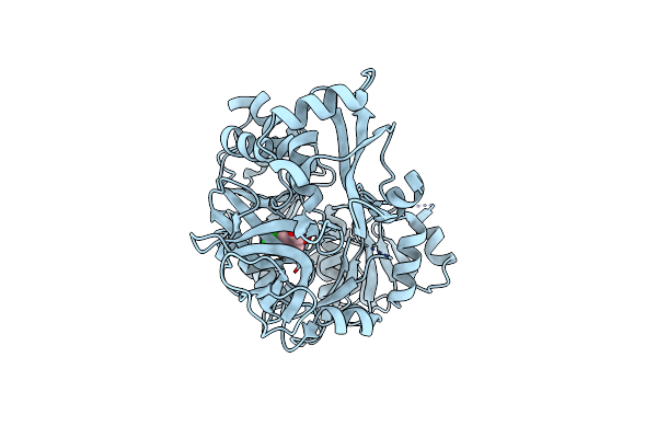 2QVZ image