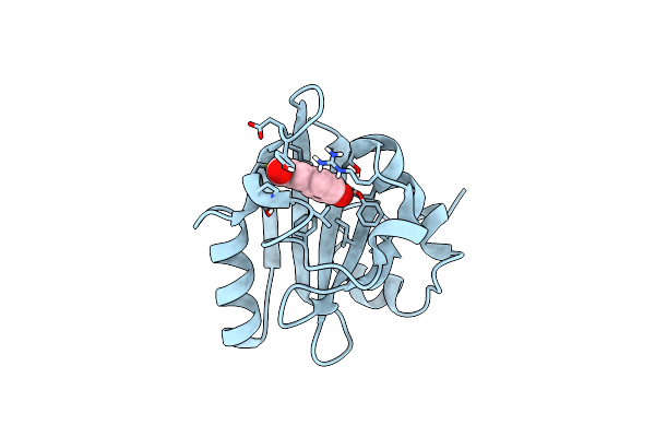 2QWS image