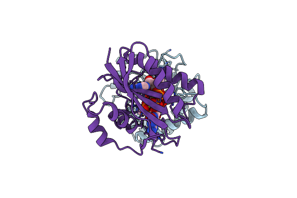 2QX0 image