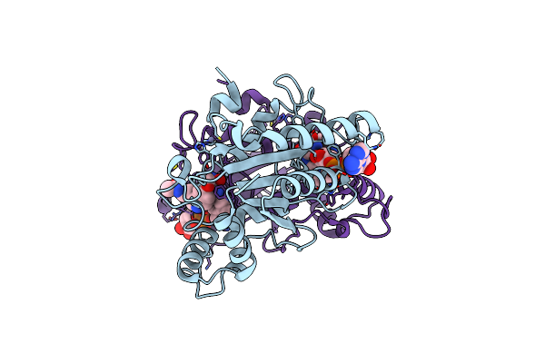 2QX4 image