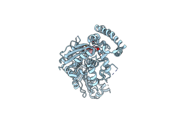 2QXF image