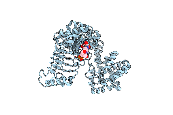 2QYU image