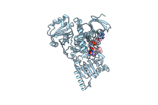 2R0C image