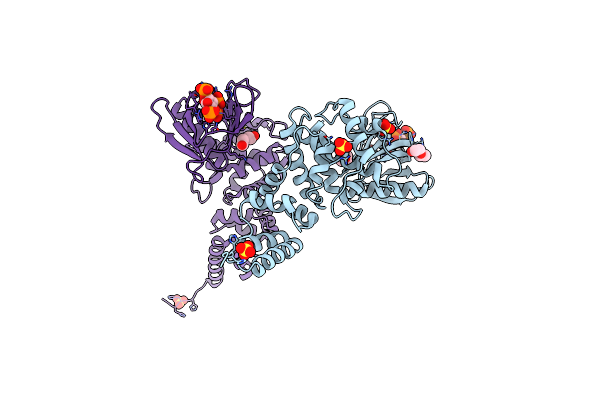 2R0D image
