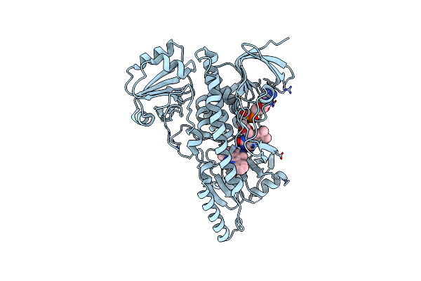 2R0P image