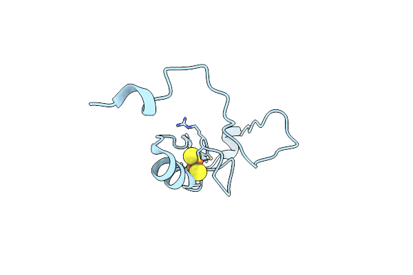 2R13 image