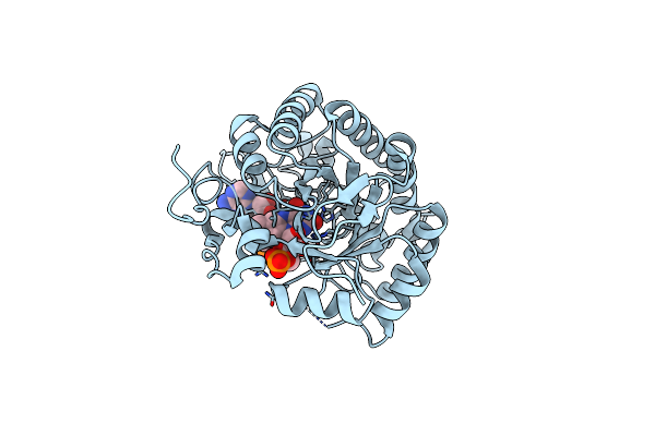 2R14 image