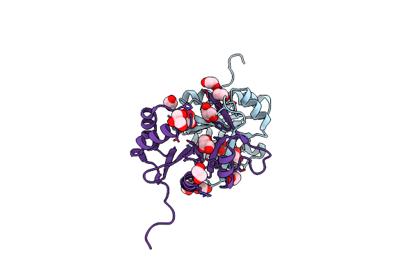 2R1I image