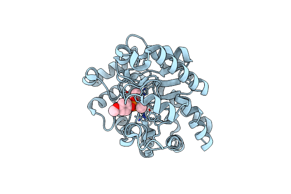 2R1N image