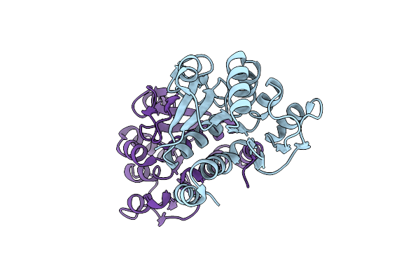 2R1T image