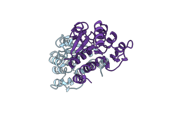 2R1U image