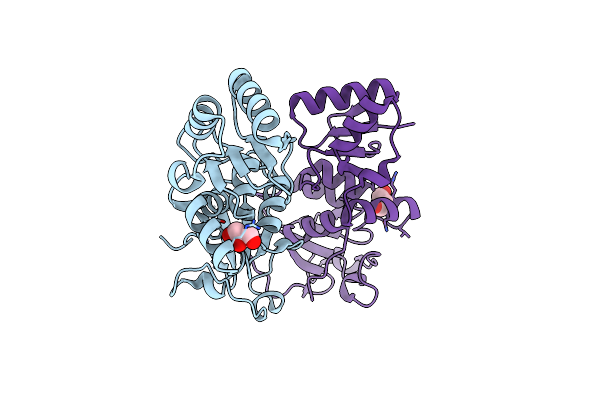 2R1Z image
