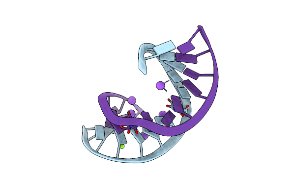 2R20 image