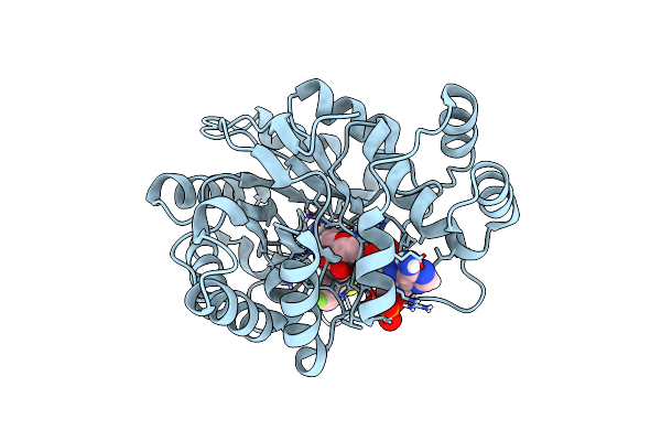 2R24 image