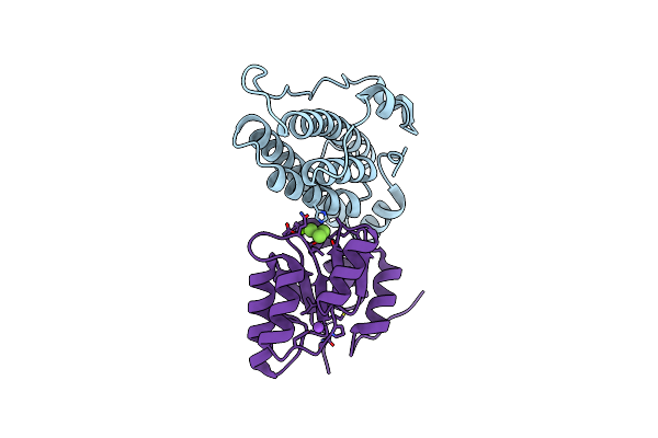2R25 image