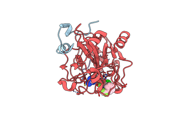 2R2M image