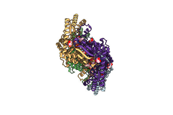 2R2N image
