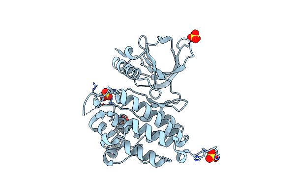 2R2P image
