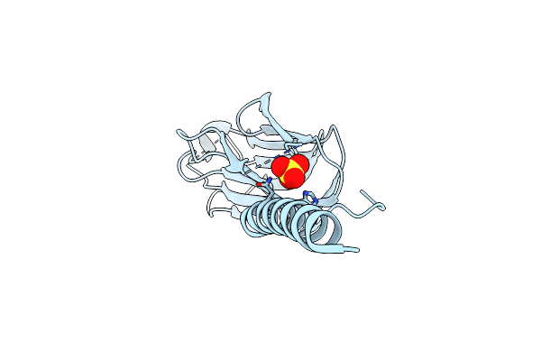 2R32 image