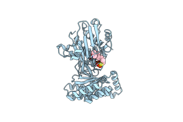 2R42 image