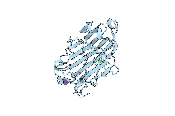 2R49 image