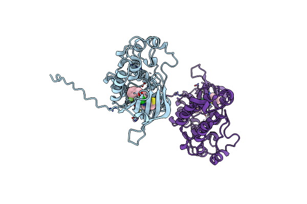 2R4B image