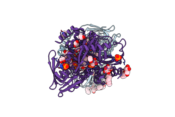 2R4E image