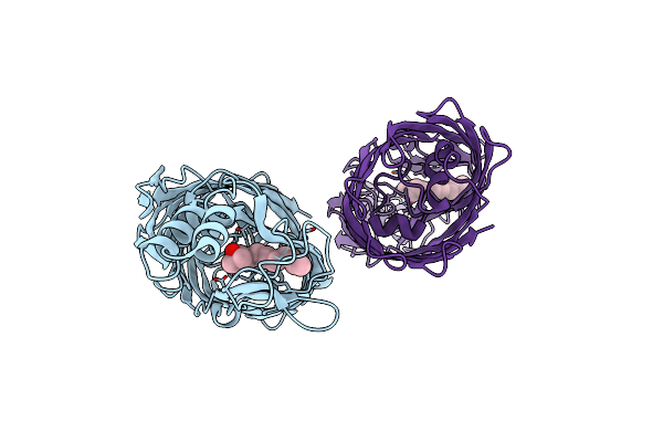 2R4N image