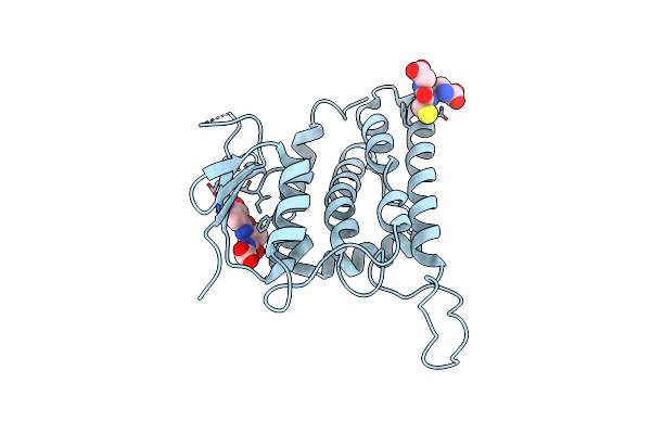 2R4V image