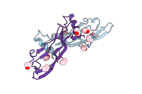 2R52 image
