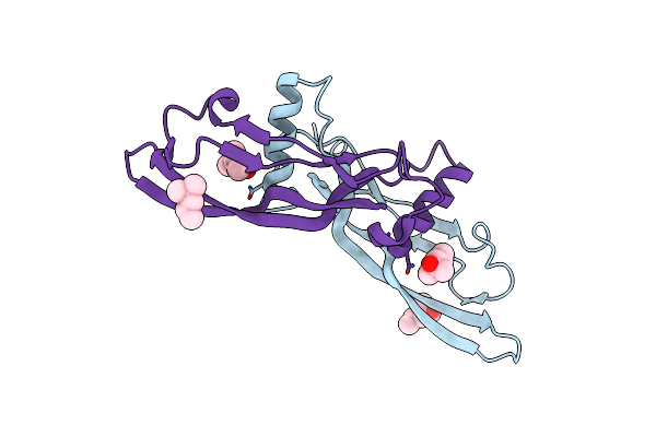 2R53 image