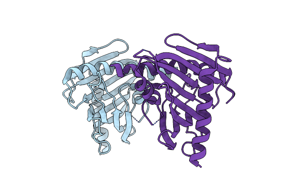2R55 image